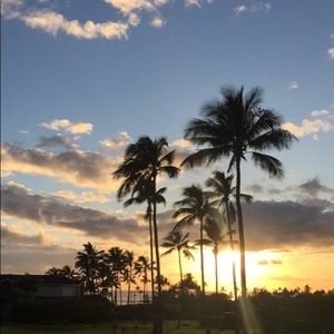 Meet your Posher, Devon